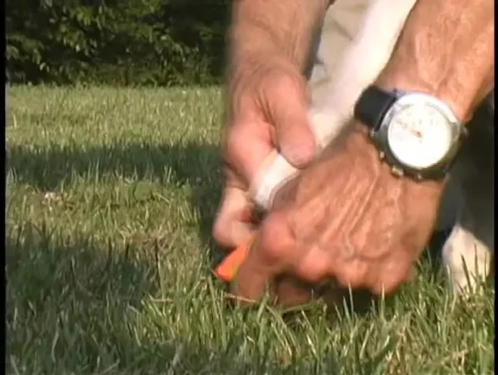 Uso sencillo: colocación rápida y fácil para proteger las patas del perro.