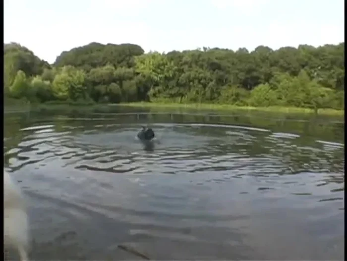 Impermeabilidad total: protegen contra lluvia, nieve, productos químicos (para derretir nieve, césped, etc.).