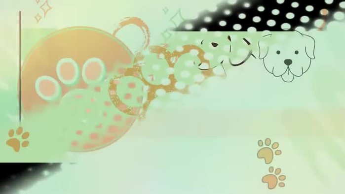 Bajar 5cm desde el cuello en cada lado y agregar 2cm más para la pestaña del cierre (botón o velcro).