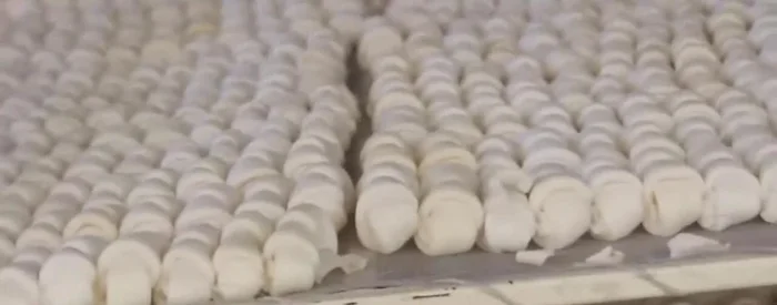 Secado en horno: Los huesos ensamblados se colocan en bandejas y se introducen en un horno a 70-75°C durante tres días, girándolos a la mitad del proceso para un secado uniforme.