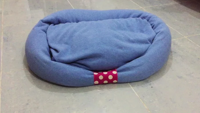 Cierra el cuello del jersey. Marca una línea recta horizontal a la altura del pecho del perro, desde una axila hasta la otra.