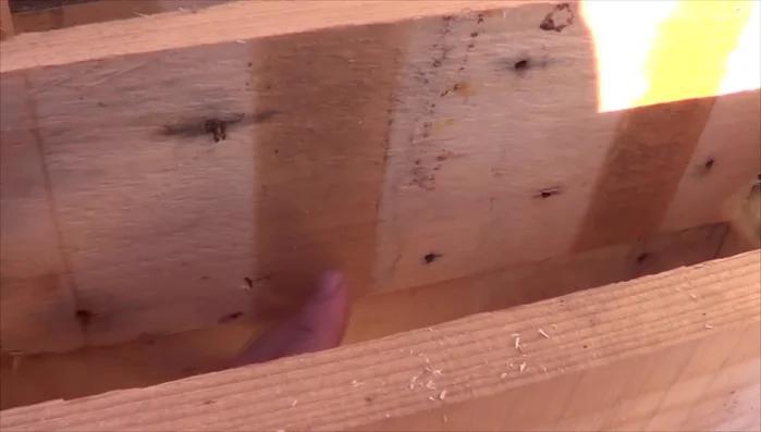 Añadir puerta interna de seguridad (15cm): para evitar el acceso de depredadores.