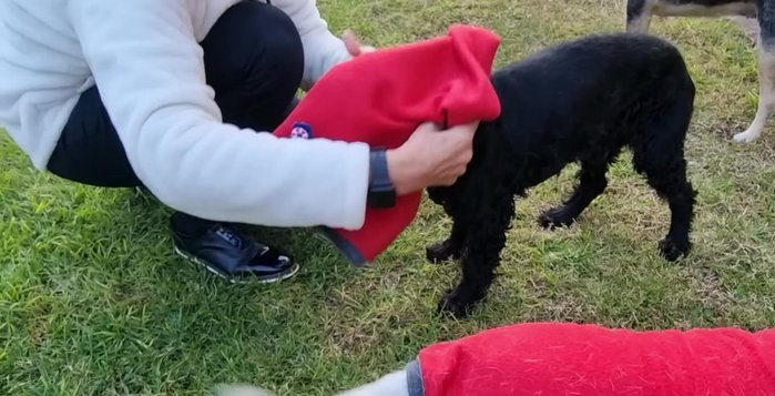 Añadir detalles finales: Añadir apliques decorativos (opcional).