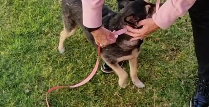 Crear el molde de la sisa: Utilizando las medidas de la sisa, crear una pieza separada para las aberturas de las patas.