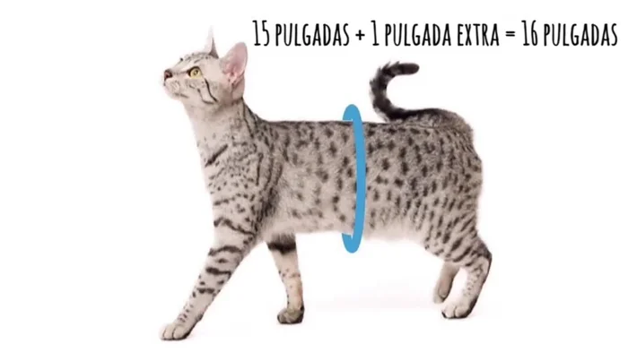 Repetir en el otro lado y coser sobre las líneas. Cortar las orillas sobrantes.