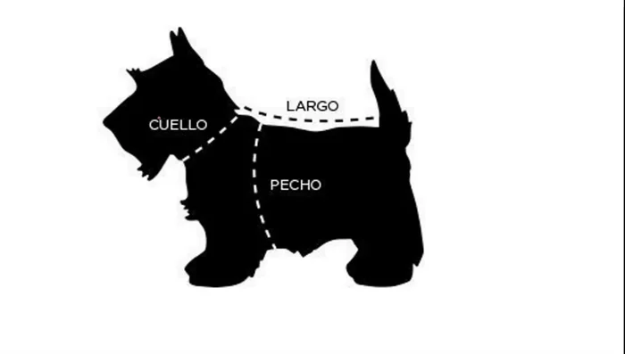 Tomar medidas del perro: Cuello, Pecho y Largo. (Ver imagen y enlace en descripción)