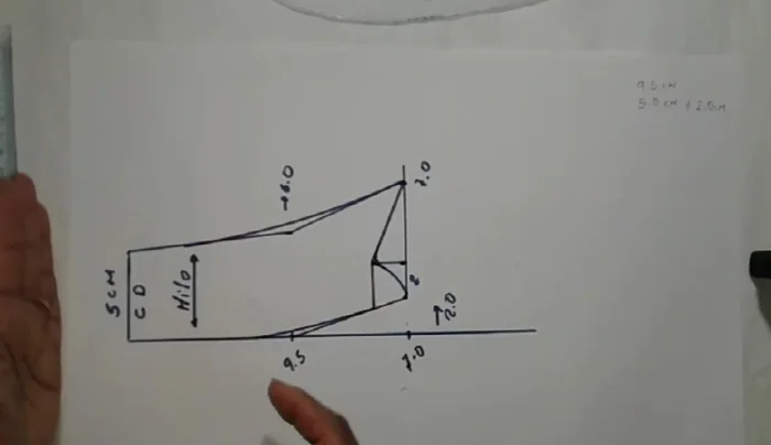 Ajustar la altura del diseño según se desee, manteniendo el ancho del cuerpo para que, al doblar la tela, quede el tamaño deseado para la camiseta de la mascota. 