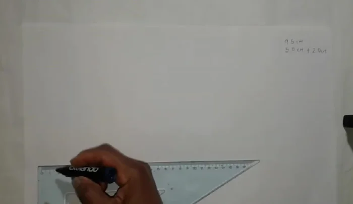 Marcar 9 puntos a 0.5 centímetros de distancia a lo largo de la línea vertical, desde el cuello hasta la parte inferior del lomo.