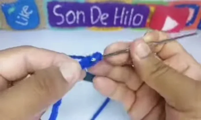 Continuar tejiendo puntos altos en todas las cadenitas hasta completar la vuelta. Para mascotas más grandes, añadir más vueltas.