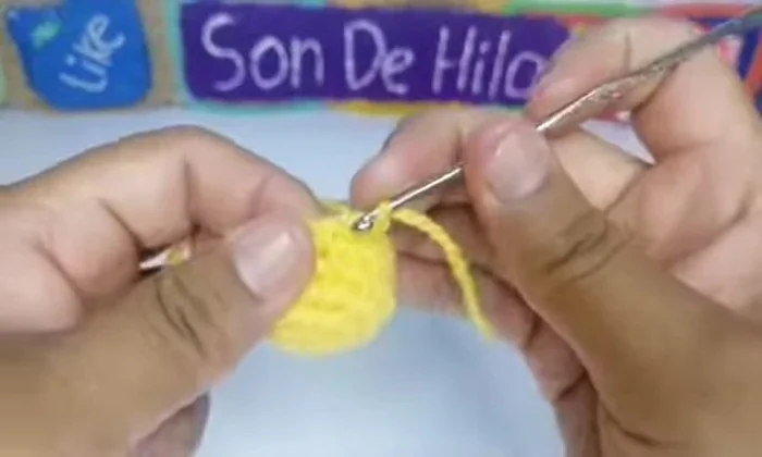 Cerrar el punto, cortar el hilo, esconder los extremos y rellenar.