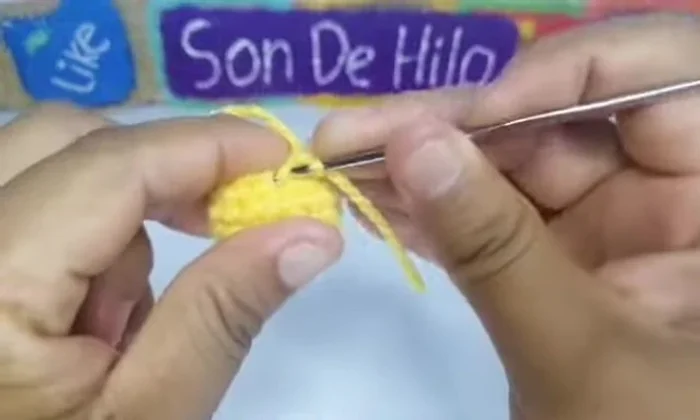 Cerrar el punto, cortar el hilo, esconder los extremos y rellenar.