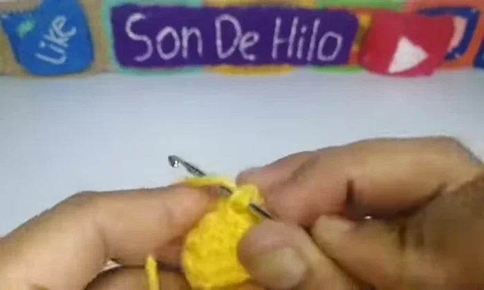 Cerrar el punto, cortar el hilo, esconder los extremos y rellenar.