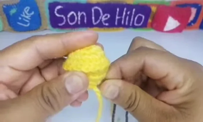 Unir las piezas, colocar el botón y ajustar el collar.