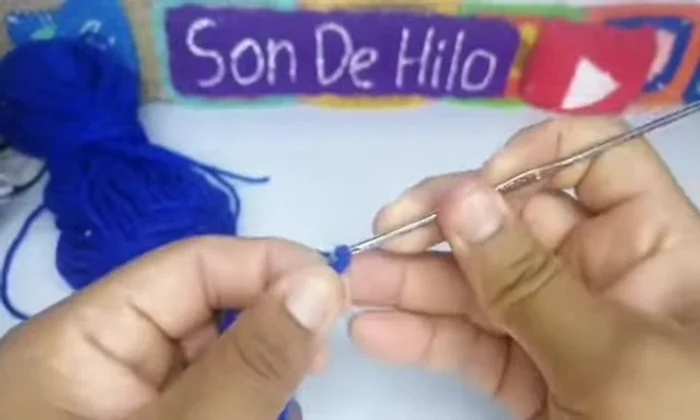 Continuar tejiendo puntos altos en todas las cadenitas hasta completar la vuelta. Para mascotas más grandes, añadir más vueltas.