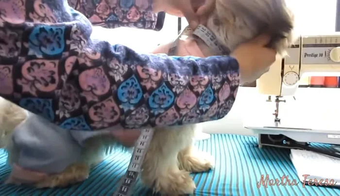 Toma de medidas: Asegúrate de medir a tu mascota con la cinta métrica floja.