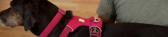 Dos puntos de clip para la correa, visualización de aluminio en la parte posterior y refuerzo del lazo de cinta en el pecho. Ideal para redirigir a perros que tiran.