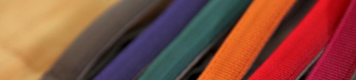 El collar incluye una hebilla de liberación lateral, un anillo en V de aluminio para sujetar la correa y un punto de fijación para la identificación con un silenciador de etiqueta de silicona.