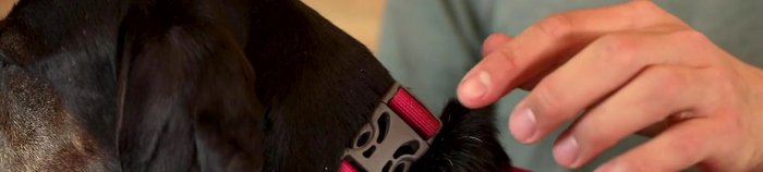 El collar incluye una hebilla de liberación lateral, un anillo en V de aluminio para sujetar la correa y un punto de fijación para la identificación con un silenciador de etiqueta de silicona.