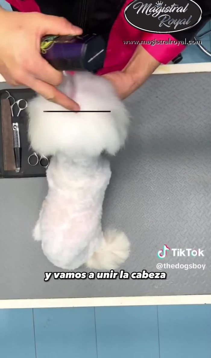 Pulir con tijeras de esculpir para eliminar pelitos sobrantes de la cabeza.