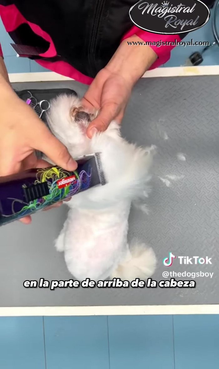 Pulir con tijeras de esculpir para eliminar pelitos sobrantes de la cabeza.