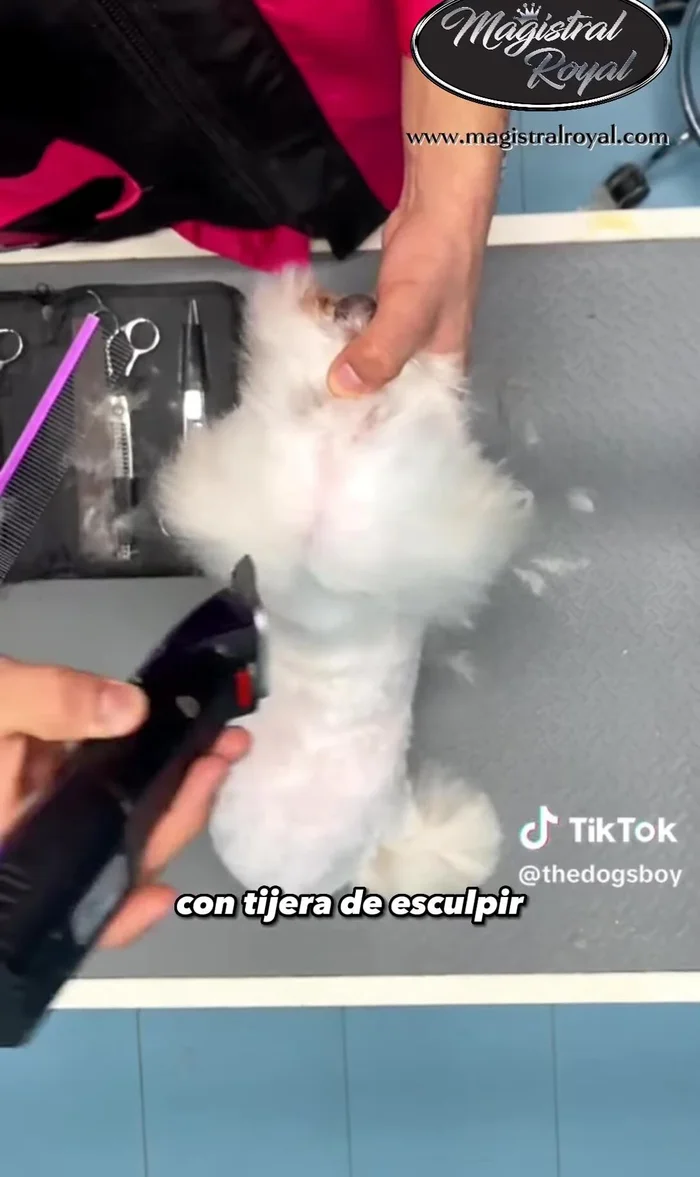 Pulir con tijeras de esculpir para eliminar pelitos sobrantes de la cabeza.