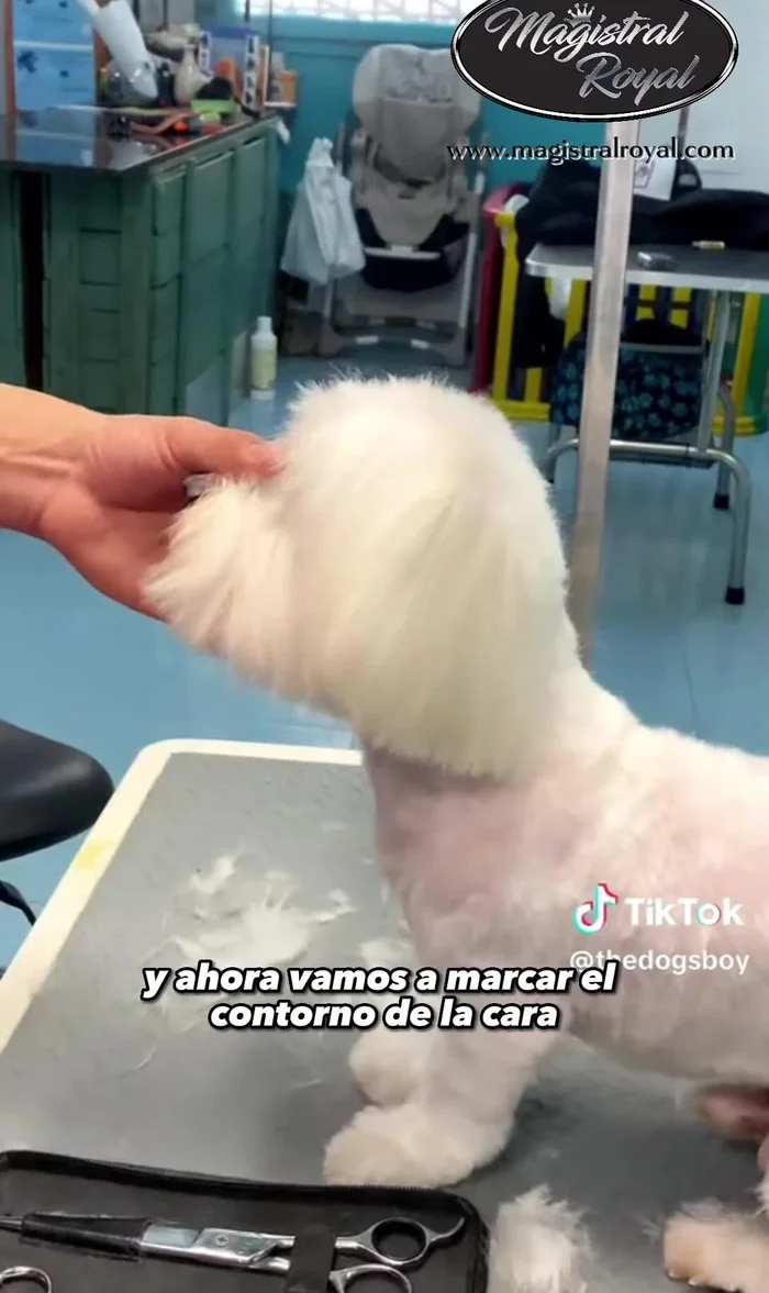 Unir la parte inferior de la cara con ambos lados en forma de círculo para lograr una forma redonda.