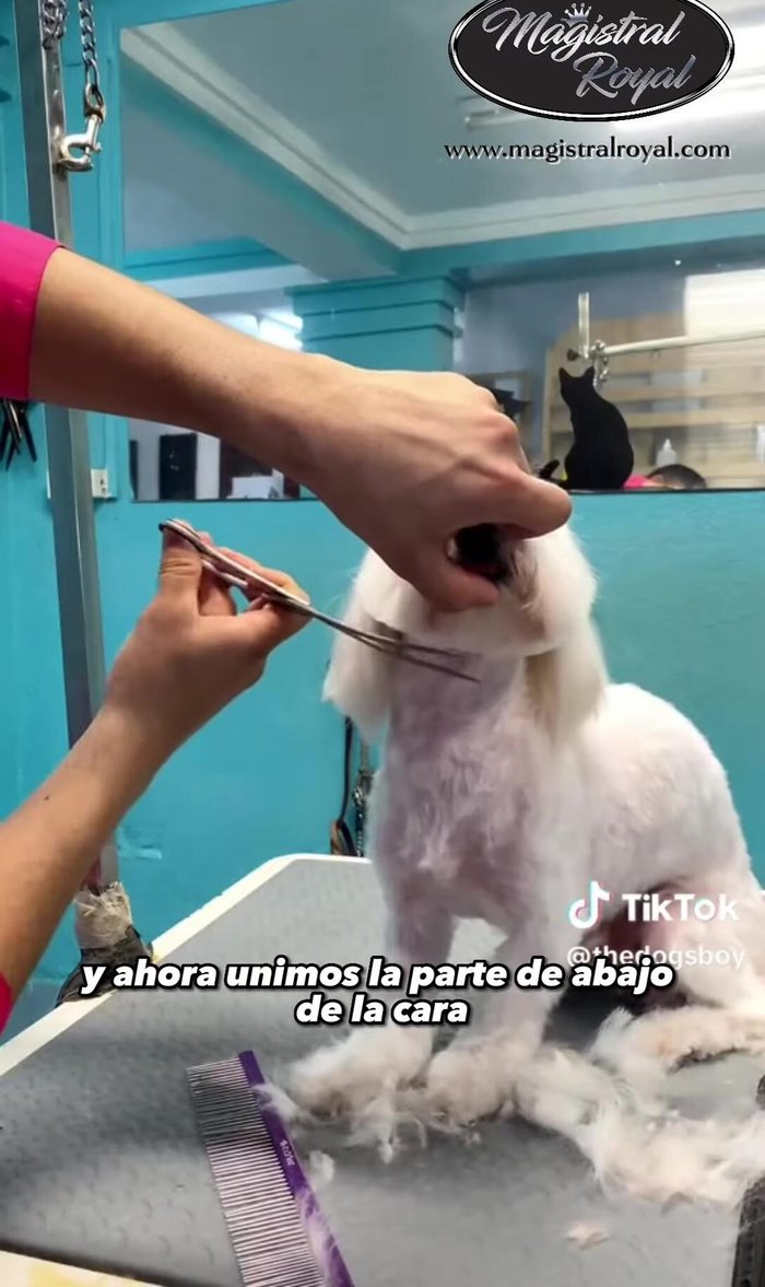 Unir la parte inferior de la cara con ambos lados en forma de círculo para lograr una forma redonda.