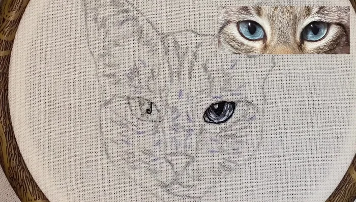 Contornear los ojos con un tono más oscuro para dar profundidad a la mirada.