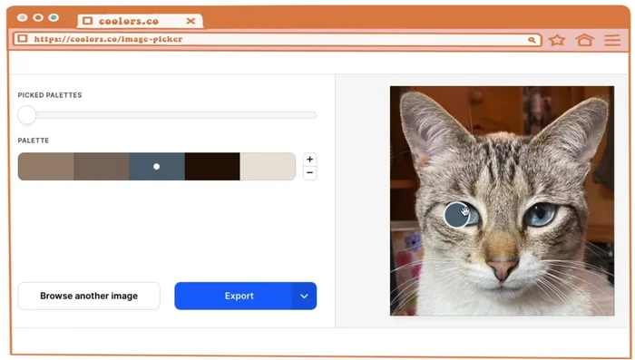 Identificar la paleta de color correcta, diferenciando tonos cálidos y fríos. Comparar opciones de hilo para asegurar la mejor coincidencia de color.