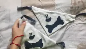 Cómo hacer un paliacate o pañuelo para perro: ¡Fácil y rápido!