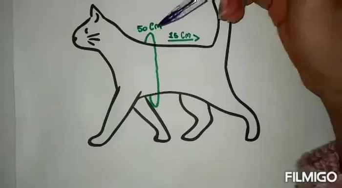 Cortar la tela: Cortar un rectángulo de tela blanca de las medidas obtenidas (ej: 50cm x 15cm).