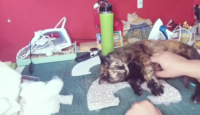 Coser las dos telas, dejando un margen para el pespunte.