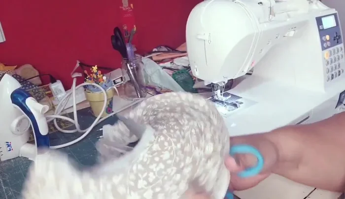 Hacer un dobladillo en el semicírculo interior y exterior.