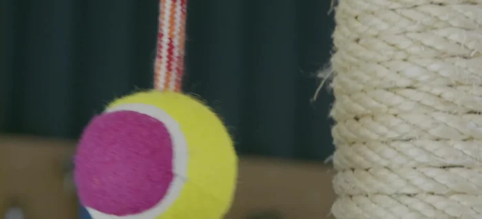 Instalar el juguete. Colgar un juguete de la tabla superior.