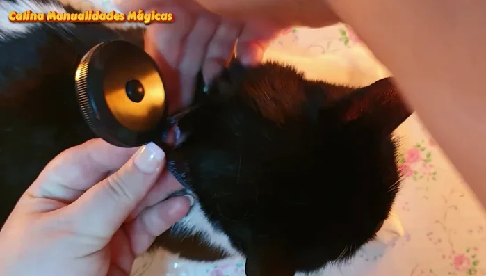 Medir el cuello de la mascota, dejando 2-3 dedos de holgura.