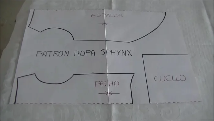Mide a tu gato para comprobar que el traje le servirá.