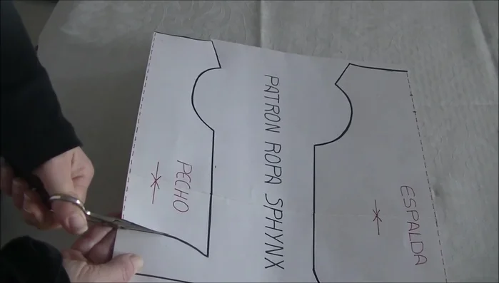 Mide a tu gato para comprobar que el traje le servirá.