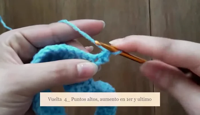 Repetir la secuencia de una vuelta con aumentos y dos vueltas sin aumentos hasta lograr el largo deseado de la espalda de la mascota.