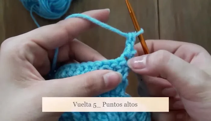 Repetir la secuencia de una vuelta con aumentos y dos vueltas sin aumentos hasta lograr el largo deseado de la espalda de la mascota.