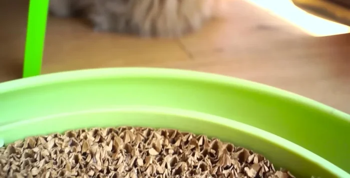 Experimenta con diferentes materiales de rascadores para encontrar el favorito de tu gato.