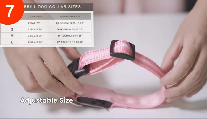 Análisis del Collar Número 7: Excelente iluminación y duración de la batería. Sujeción segura, evitando pérdidas del collar (a diferencia de otros probados anteriormente).