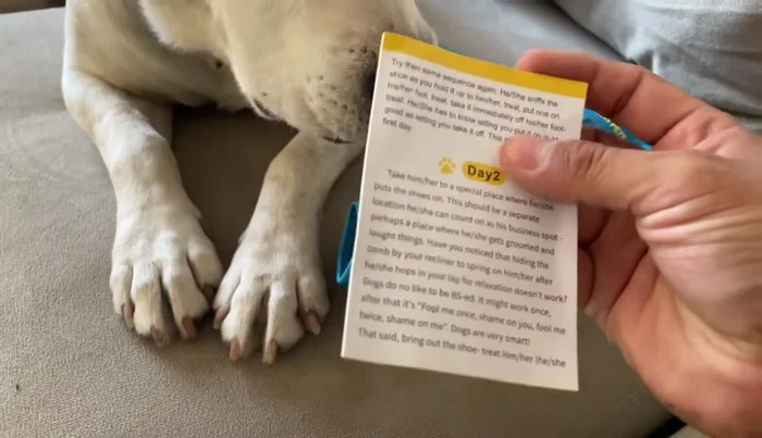 Descripción detallada de las botitas: materiales, tallas, colores, precio y características (velcro, material transpirable).