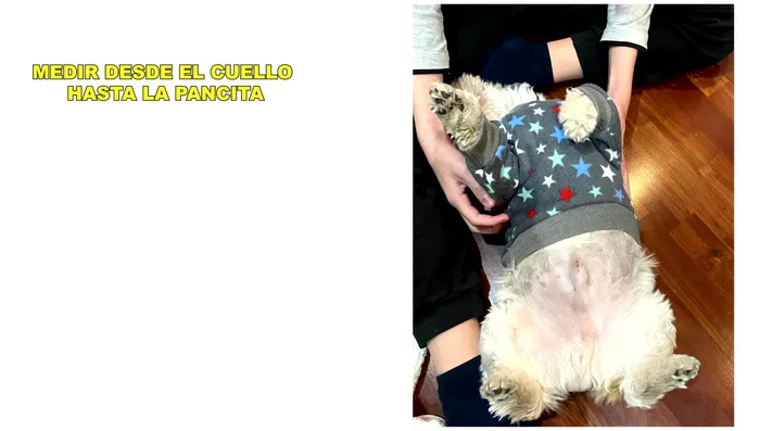 Circunferencia de la pata (opcional): Con holgura.